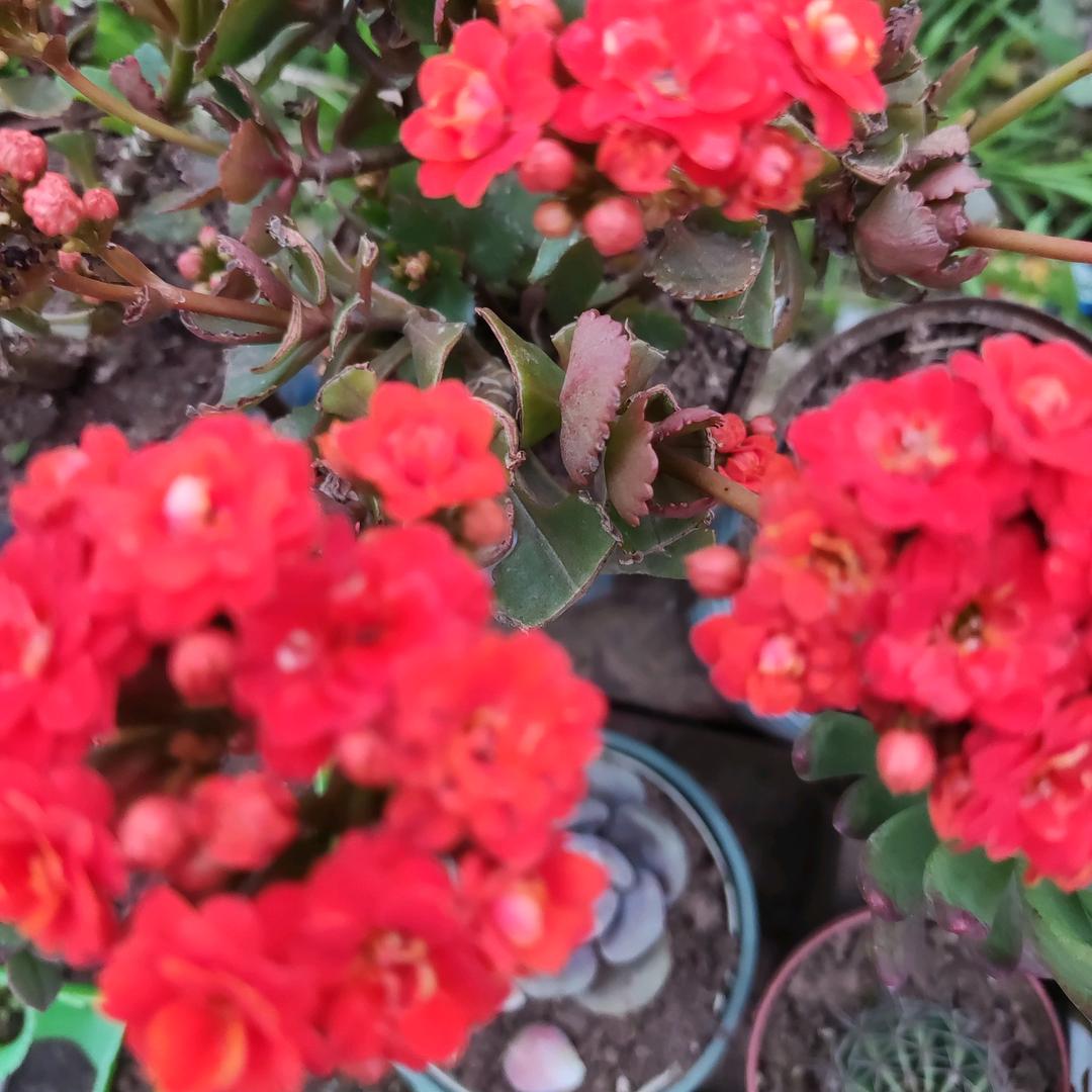 真❤️换真❤️