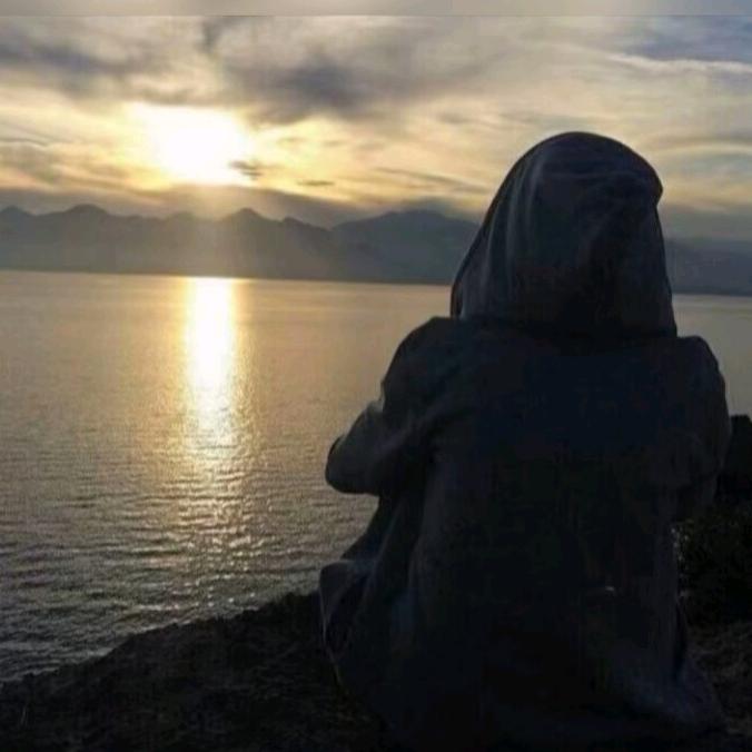 90岁老登反应贝壳🐟