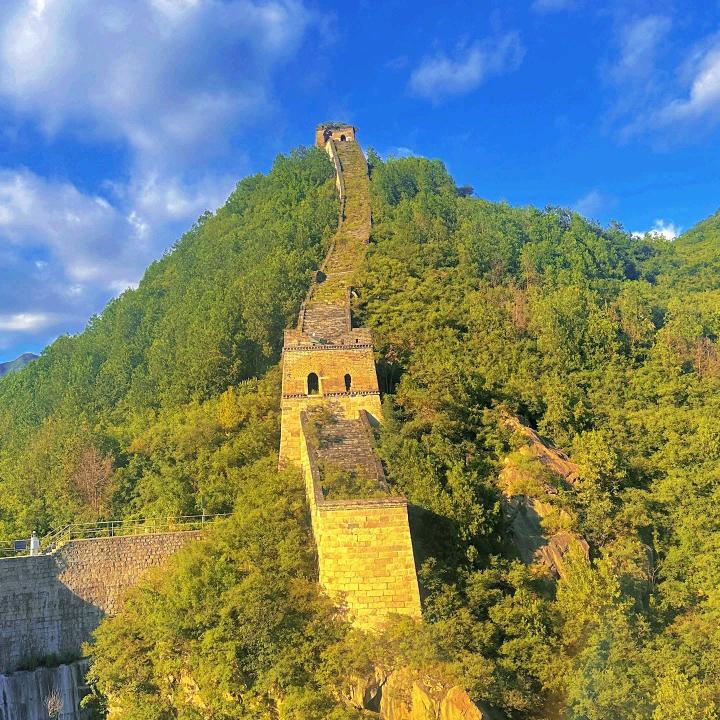 青黛远