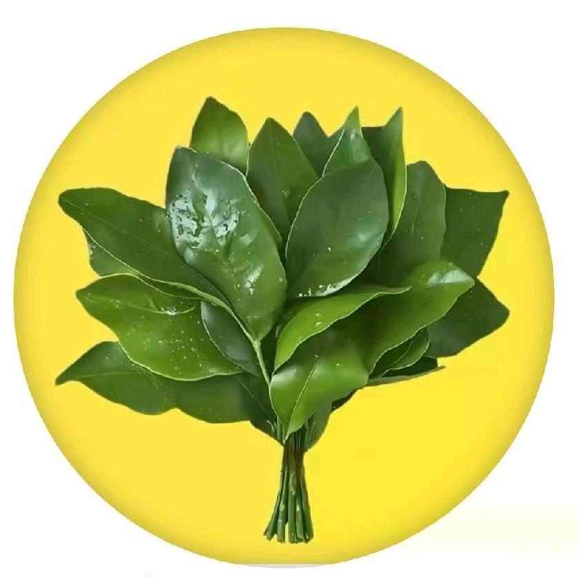 🌻汐宝优选🍀