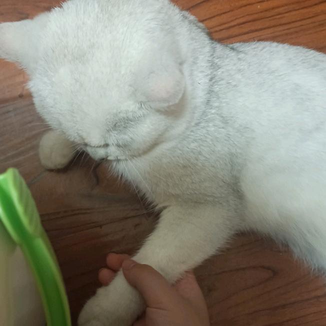 夏天好热