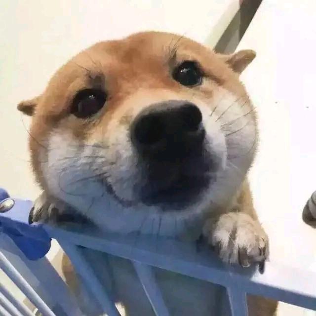 碧海蓝天