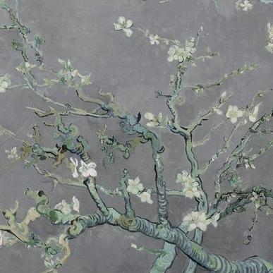 陈美娇