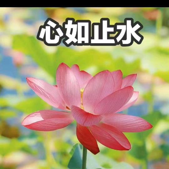 在银川的静静学姐