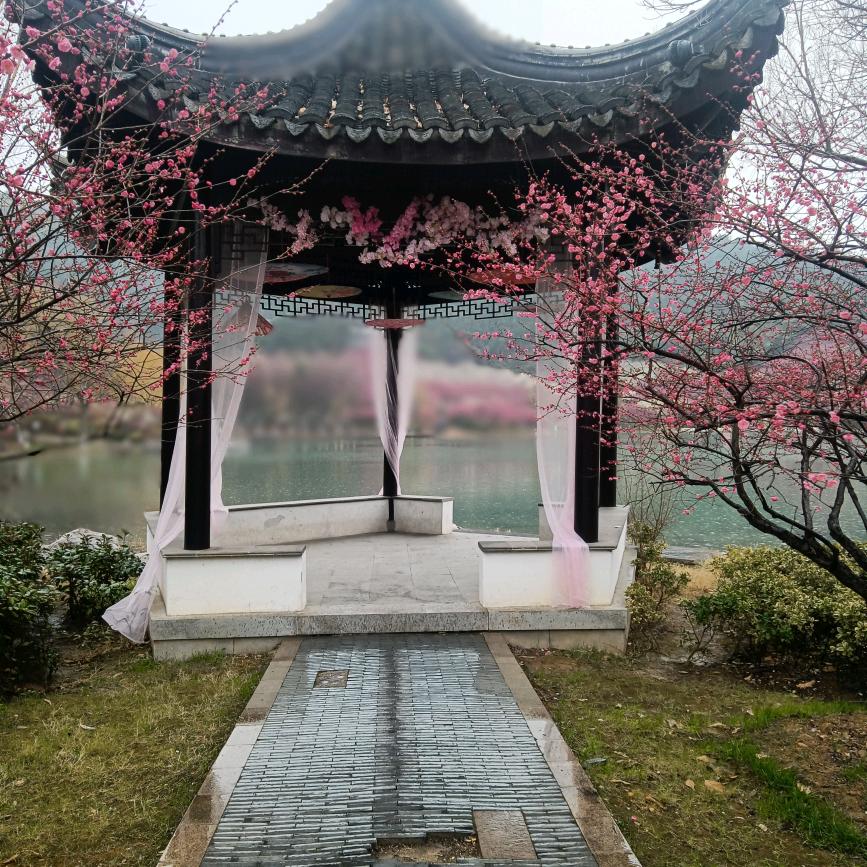 昌容