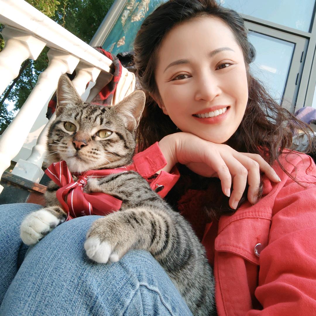 小小一只，喵