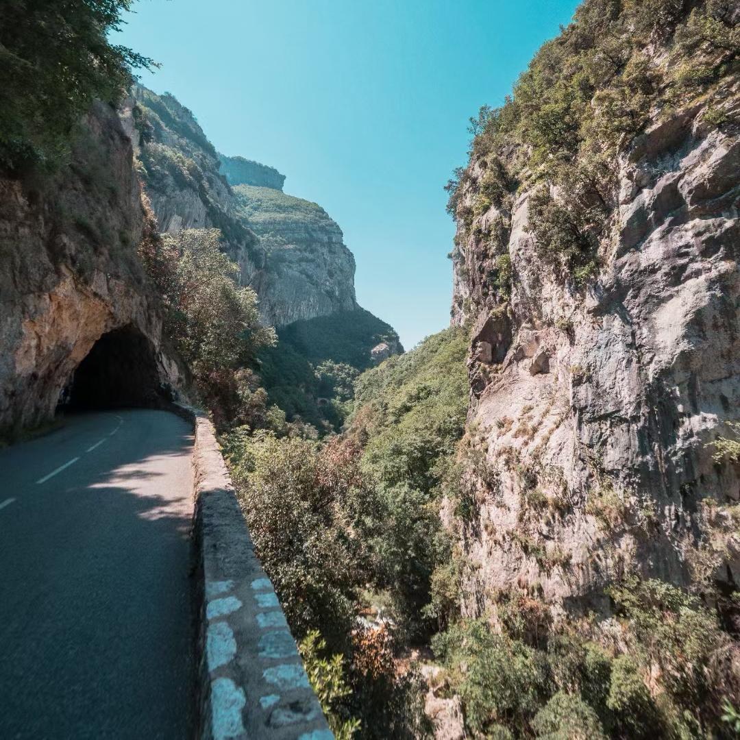 不要问我为什么