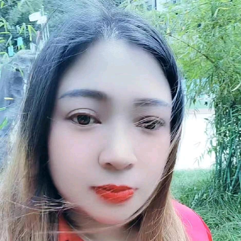 杨琴