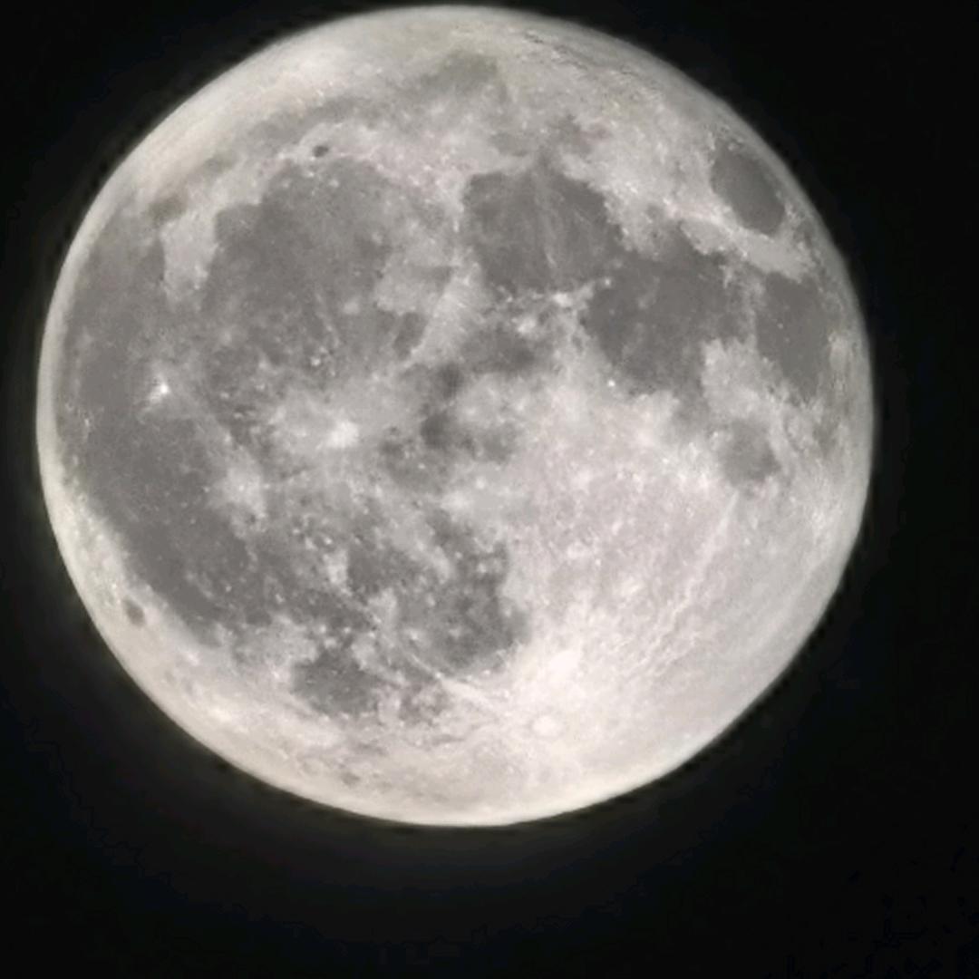直隶总督