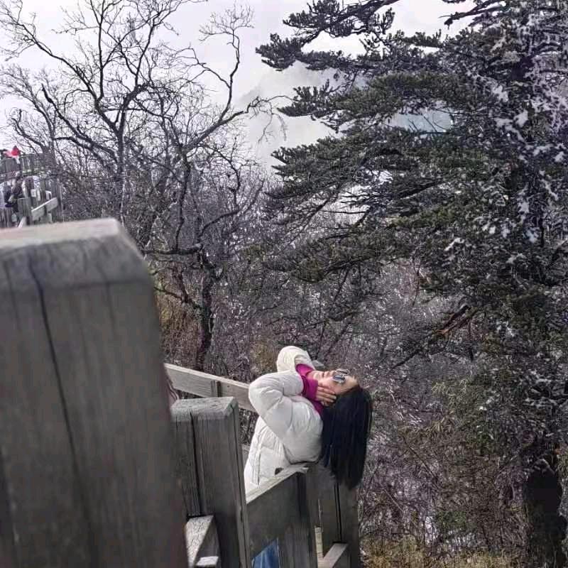 周周《手机剪影》