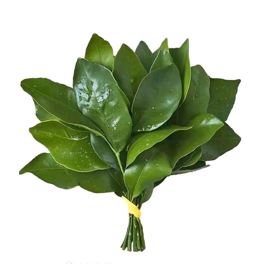 梨涡远点