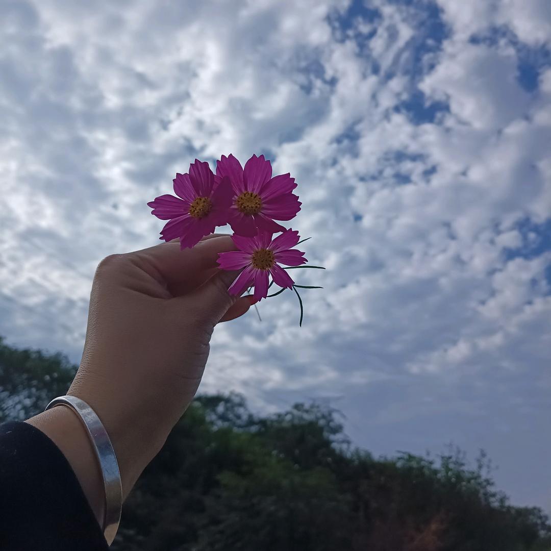 ᶻ:ᨶ႒ᩚ        大宝