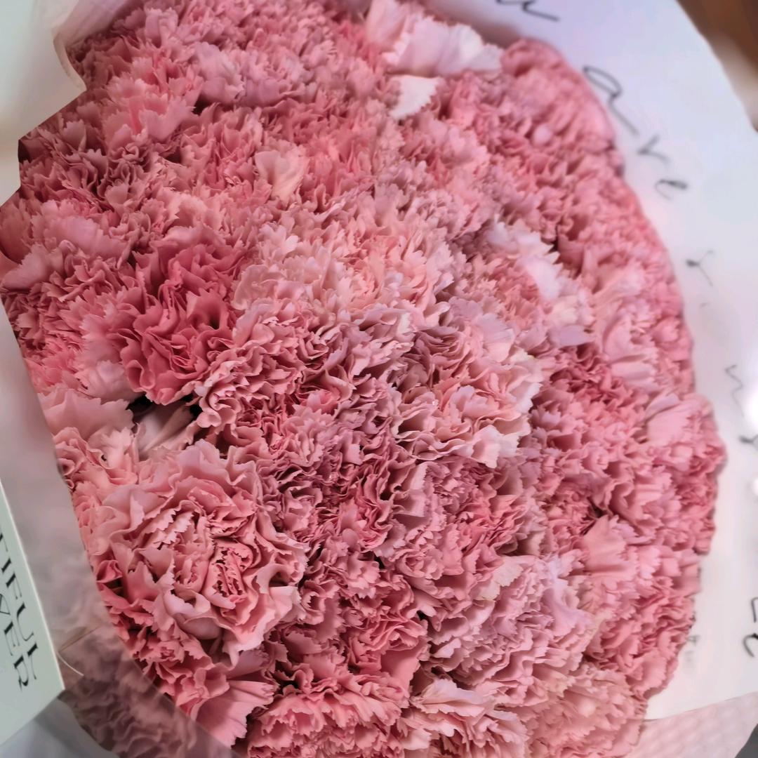 自由自在的i人