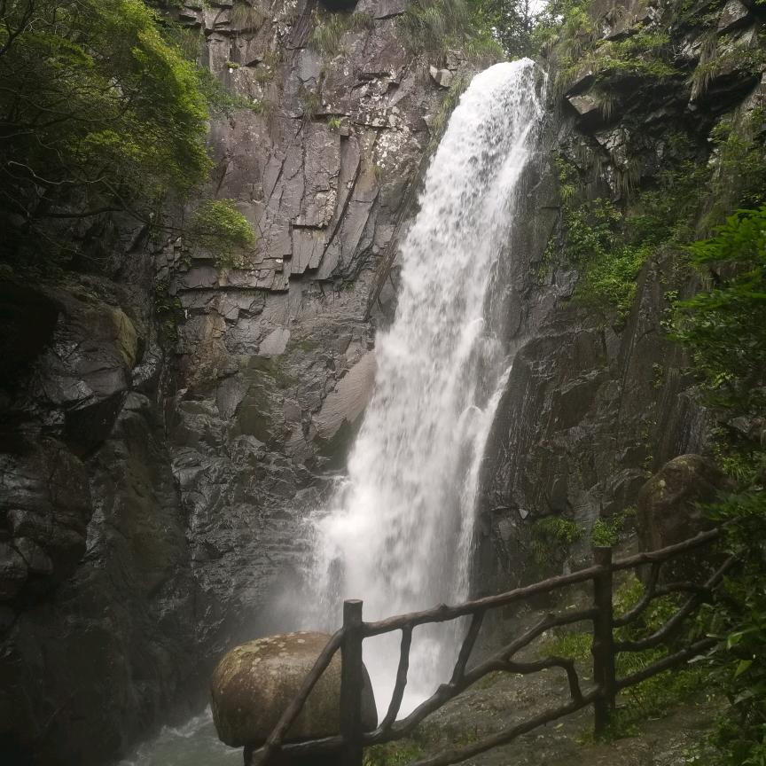 如水年华