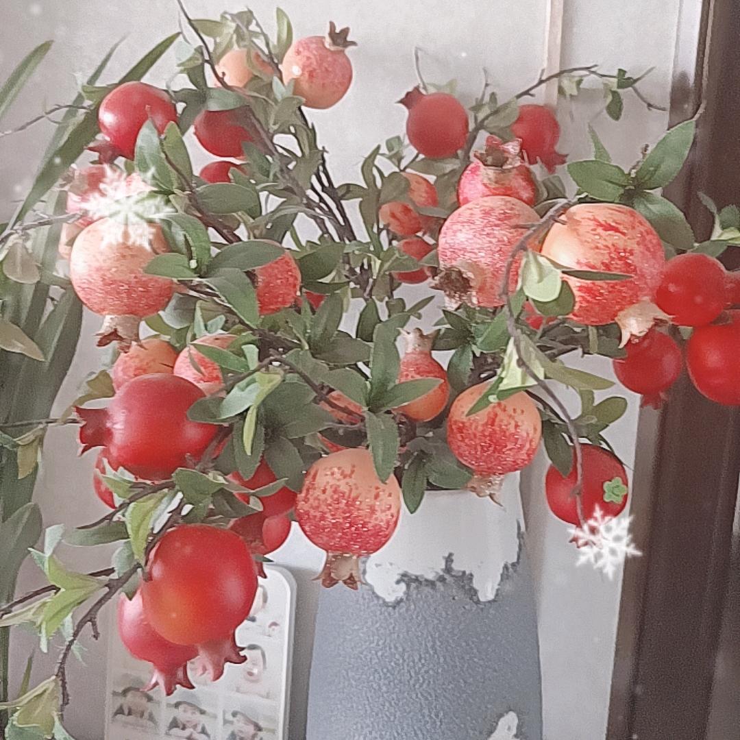 火红的石榴（互）