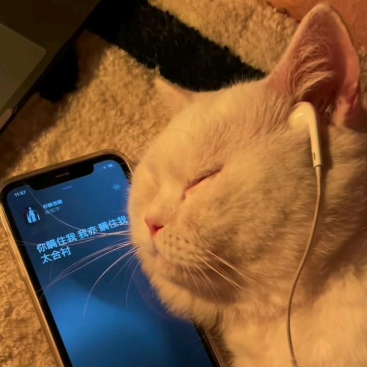 玖ctl