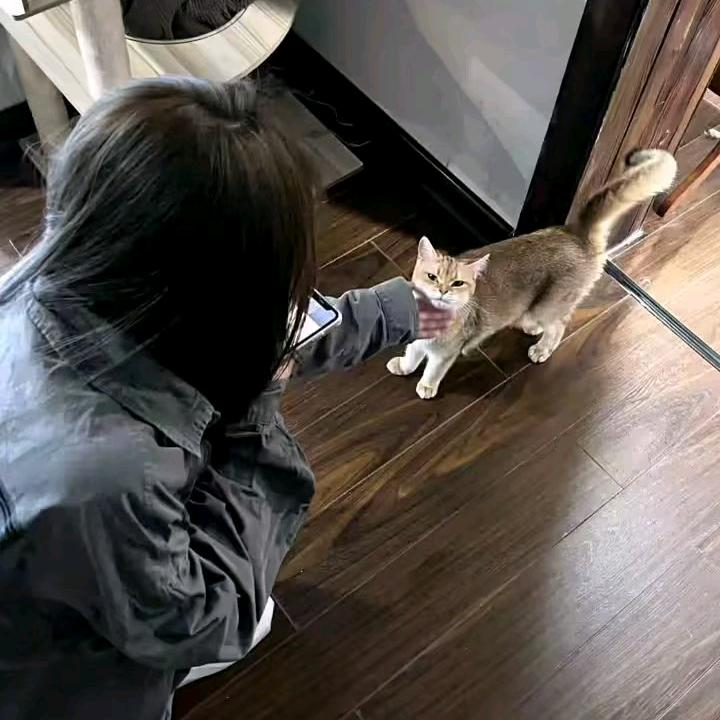 小伊.