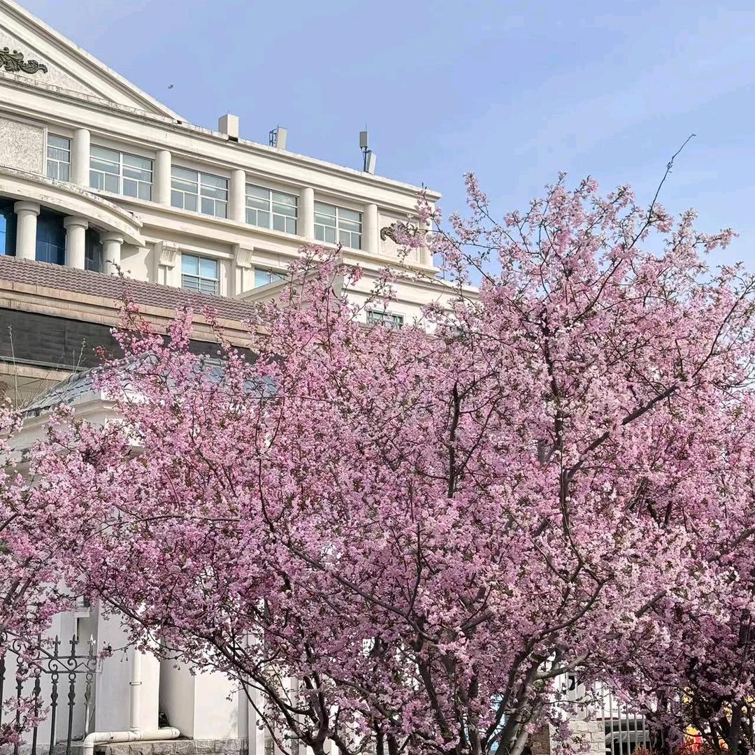 花开富坤