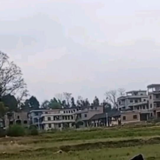 财哥哥🌙🌙🌙🍬🍬🍬