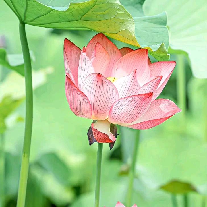 缘满