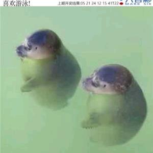 有缘千里来相会