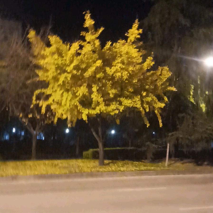 不喜欢用网名