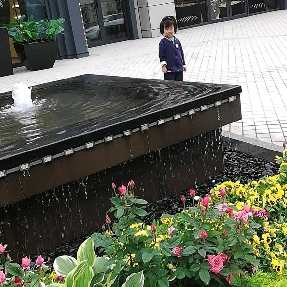 老杨