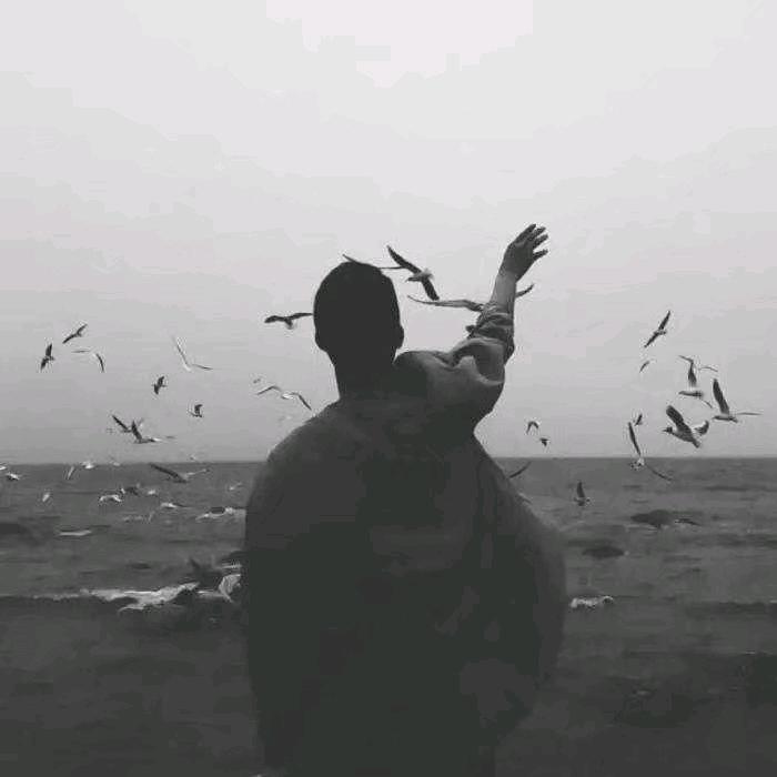 术心、口