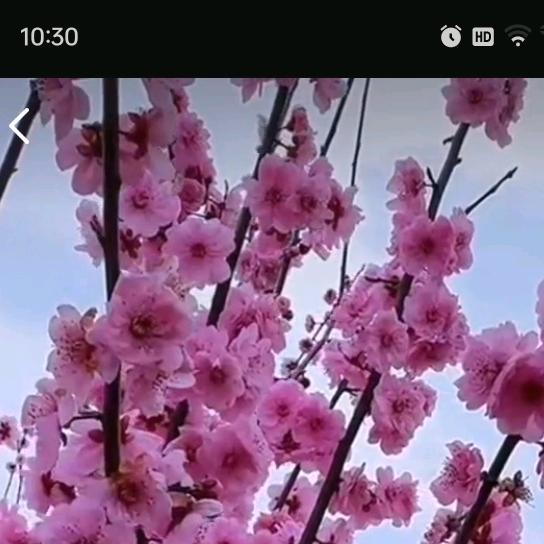午后阳光