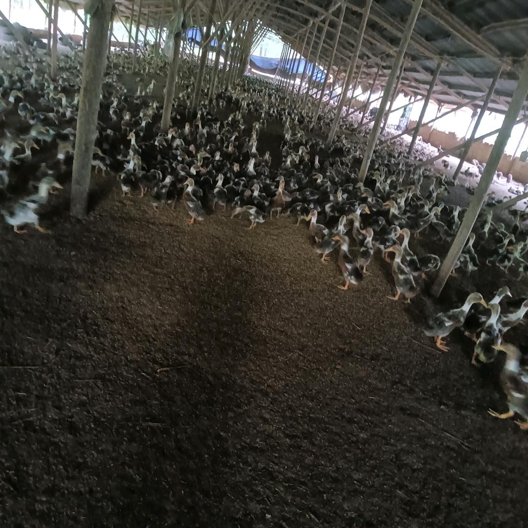 谁愿意当老板娘?