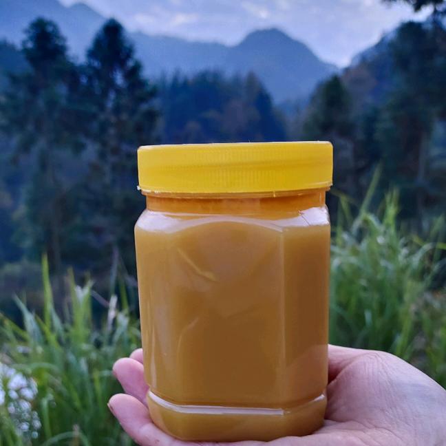 秦巴高山板板桥土蜂场