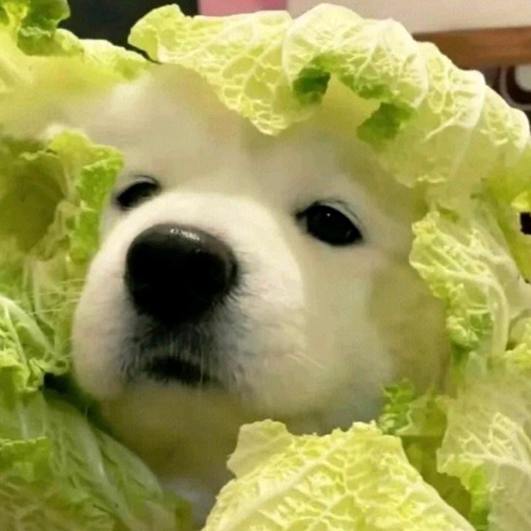 无敌的暴龙战士