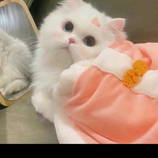 努力吧！男孩👦🏻