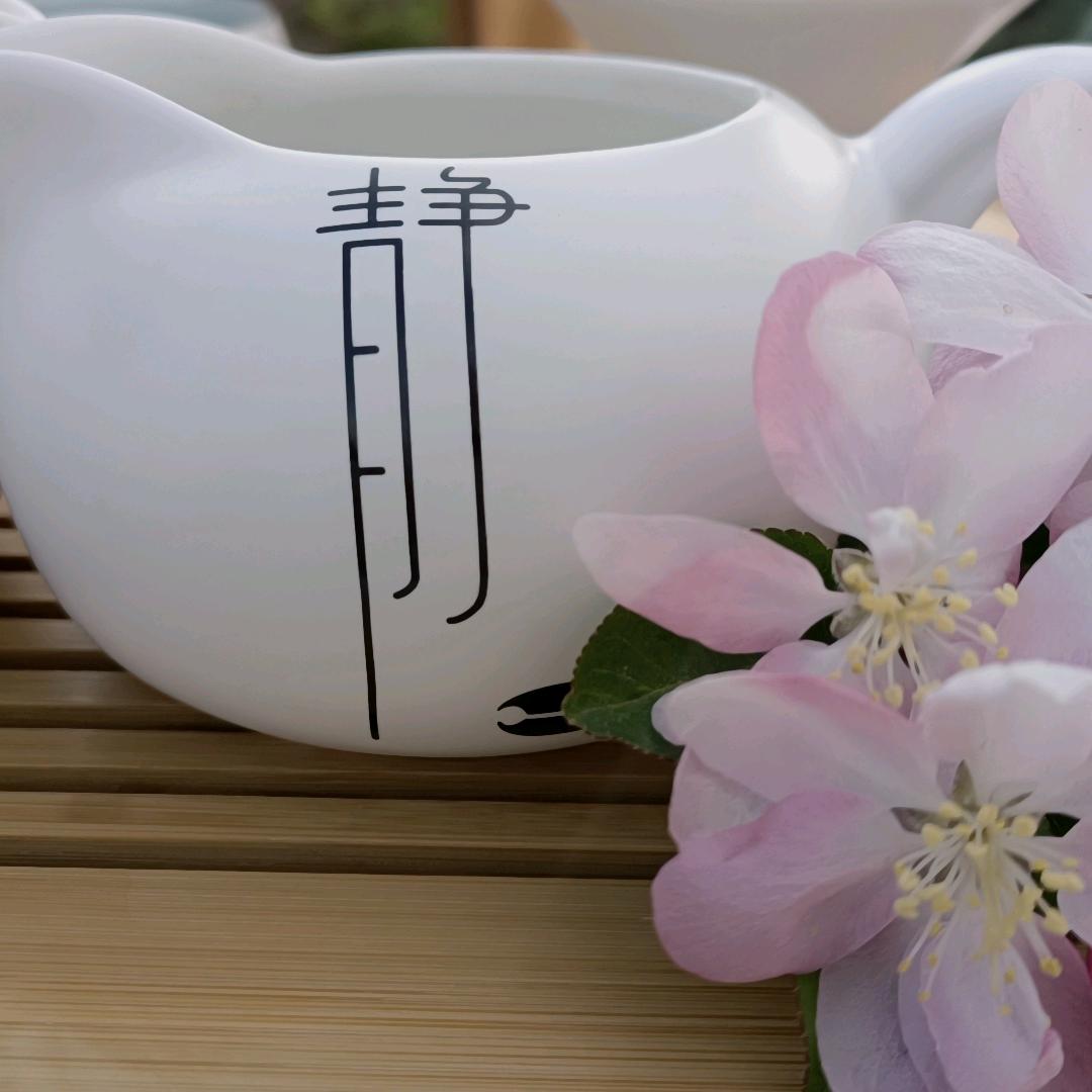 Zh 十一