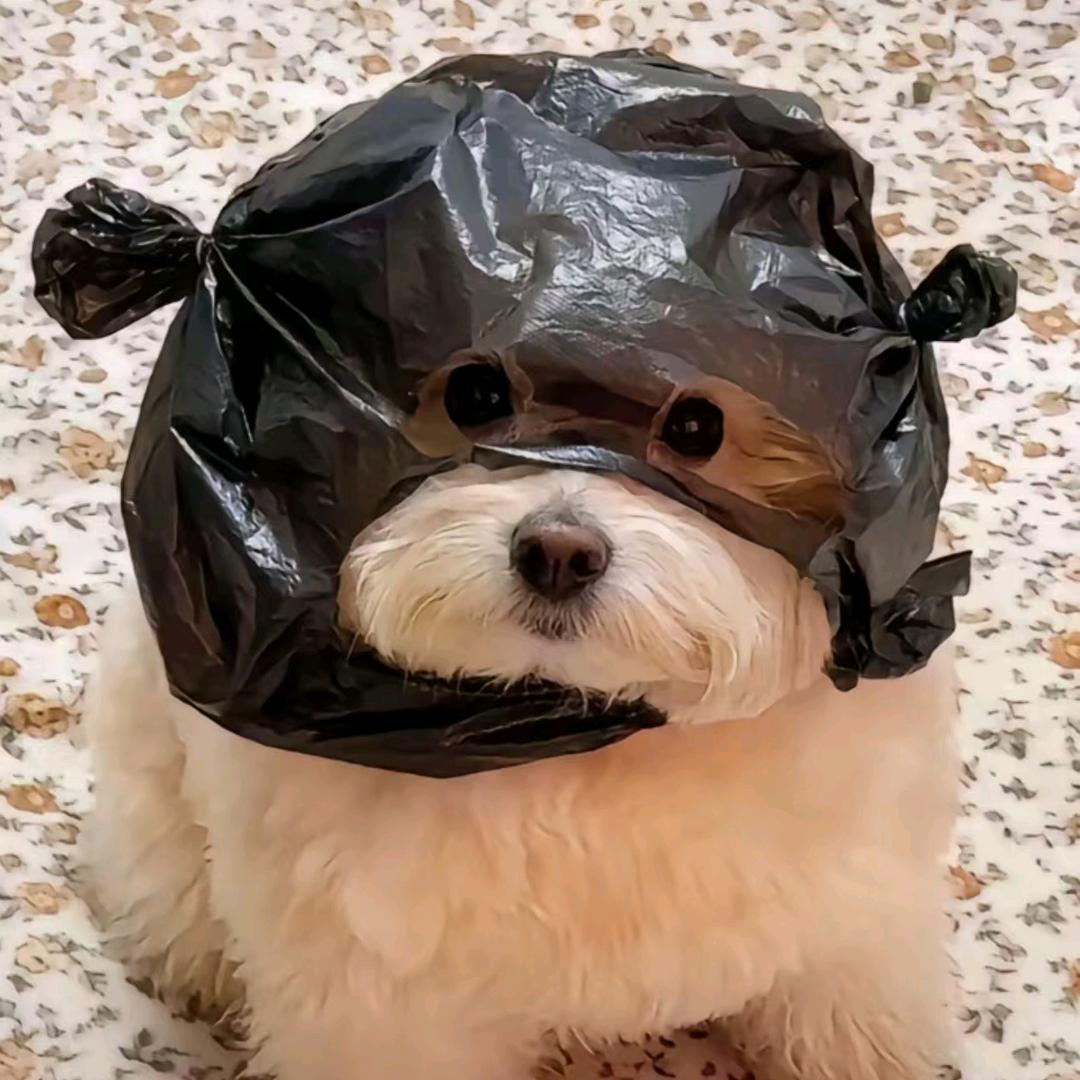 唐僧调戏佩奇妈 悟空八戒是lala