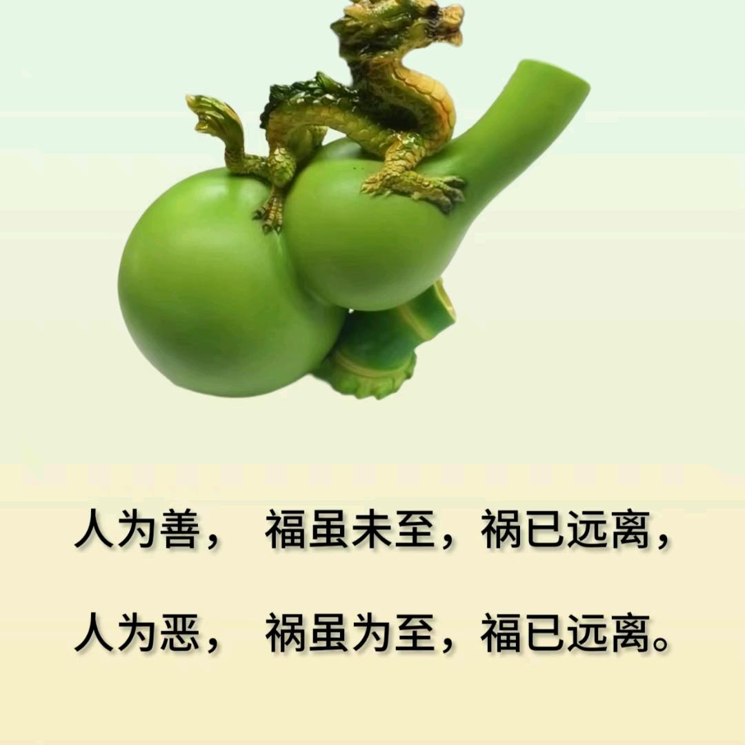纾语