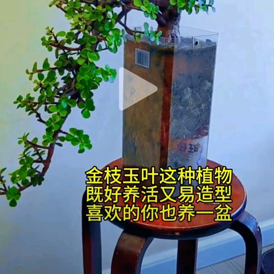 古玩