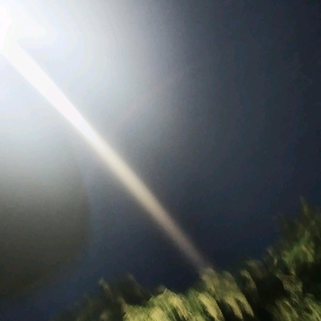 南瓜。