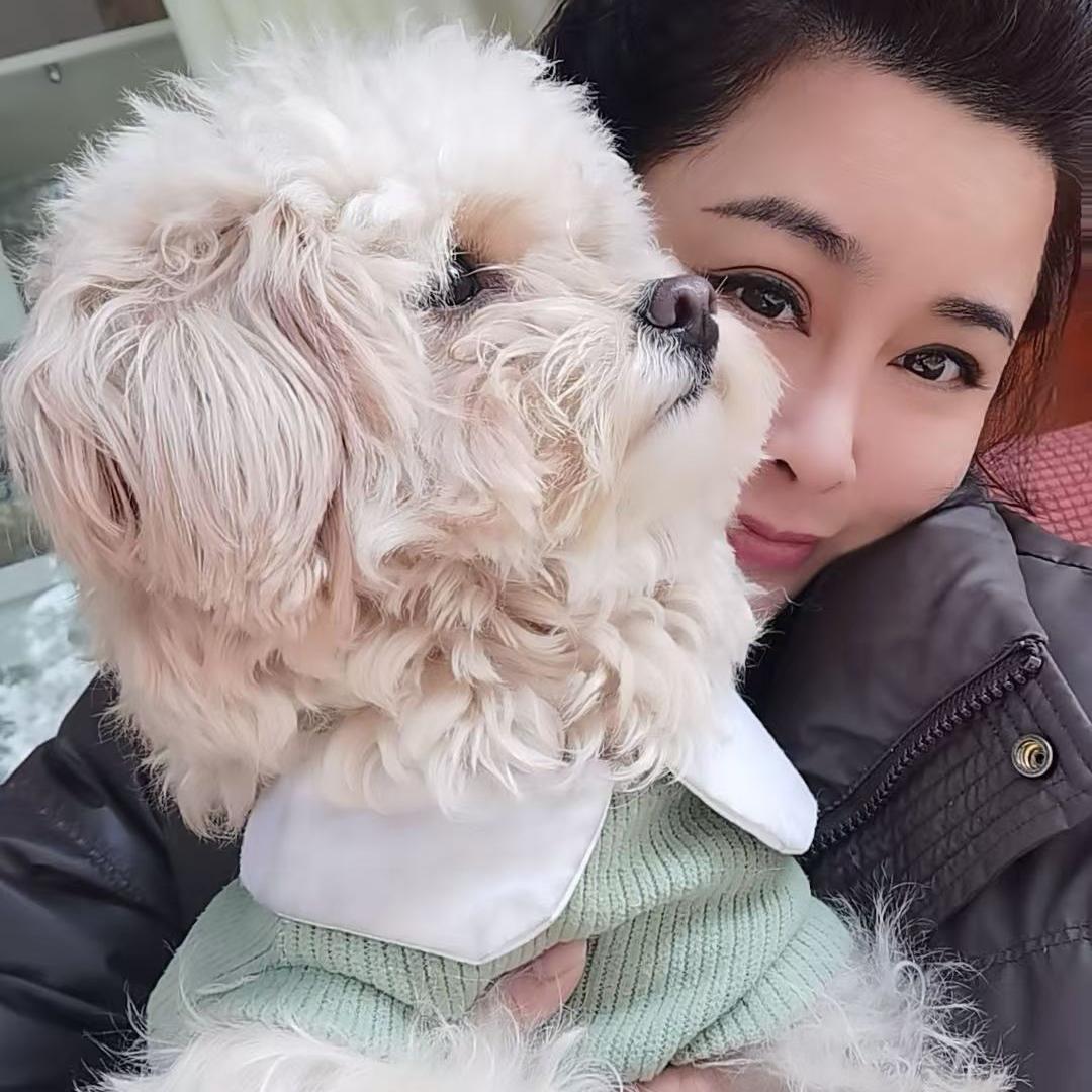 独自摇曳
