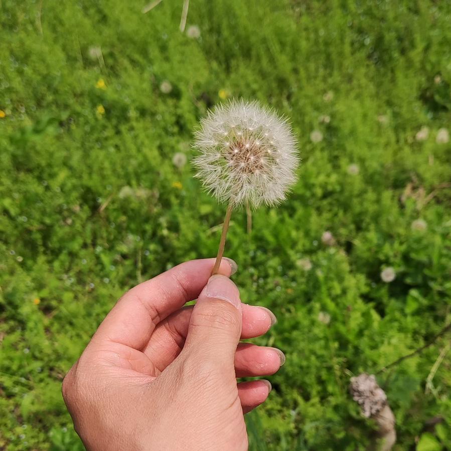 既然