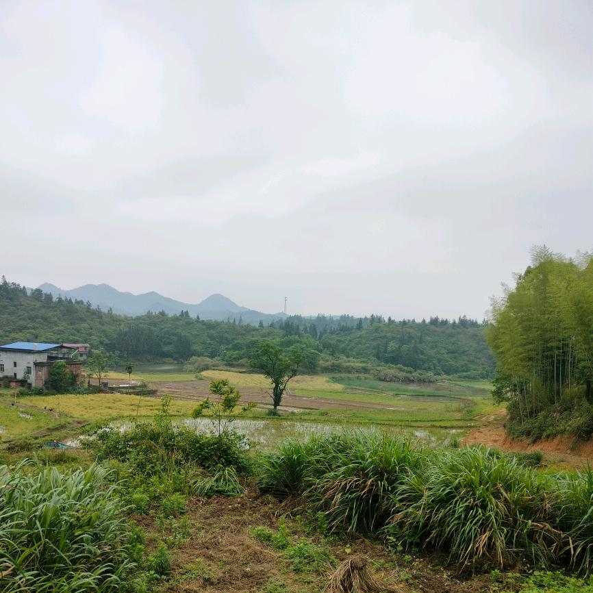 荣浩