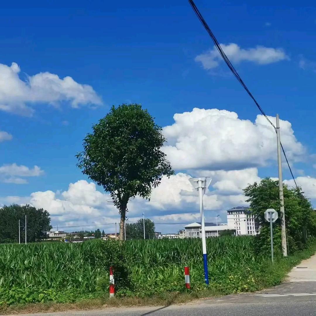 盒子艺术 小吴老师