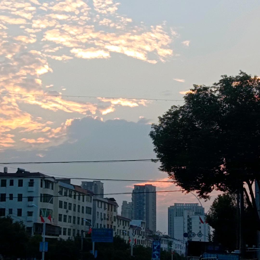 云中飞龙