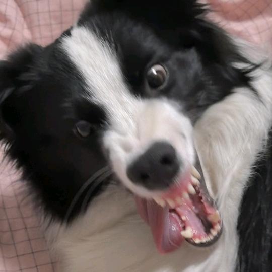 五一不是劳动节