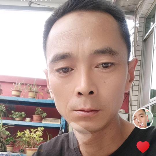 喜子哥😊😊