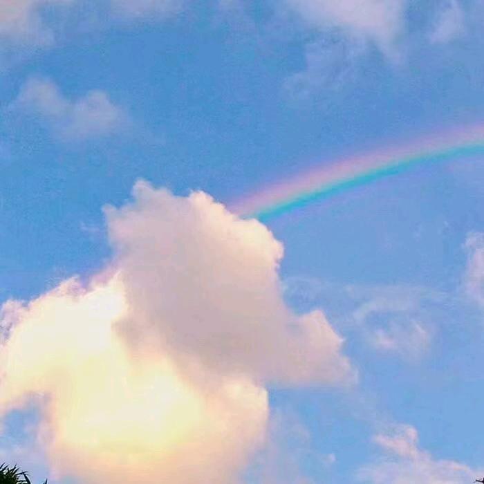彩虹🌈