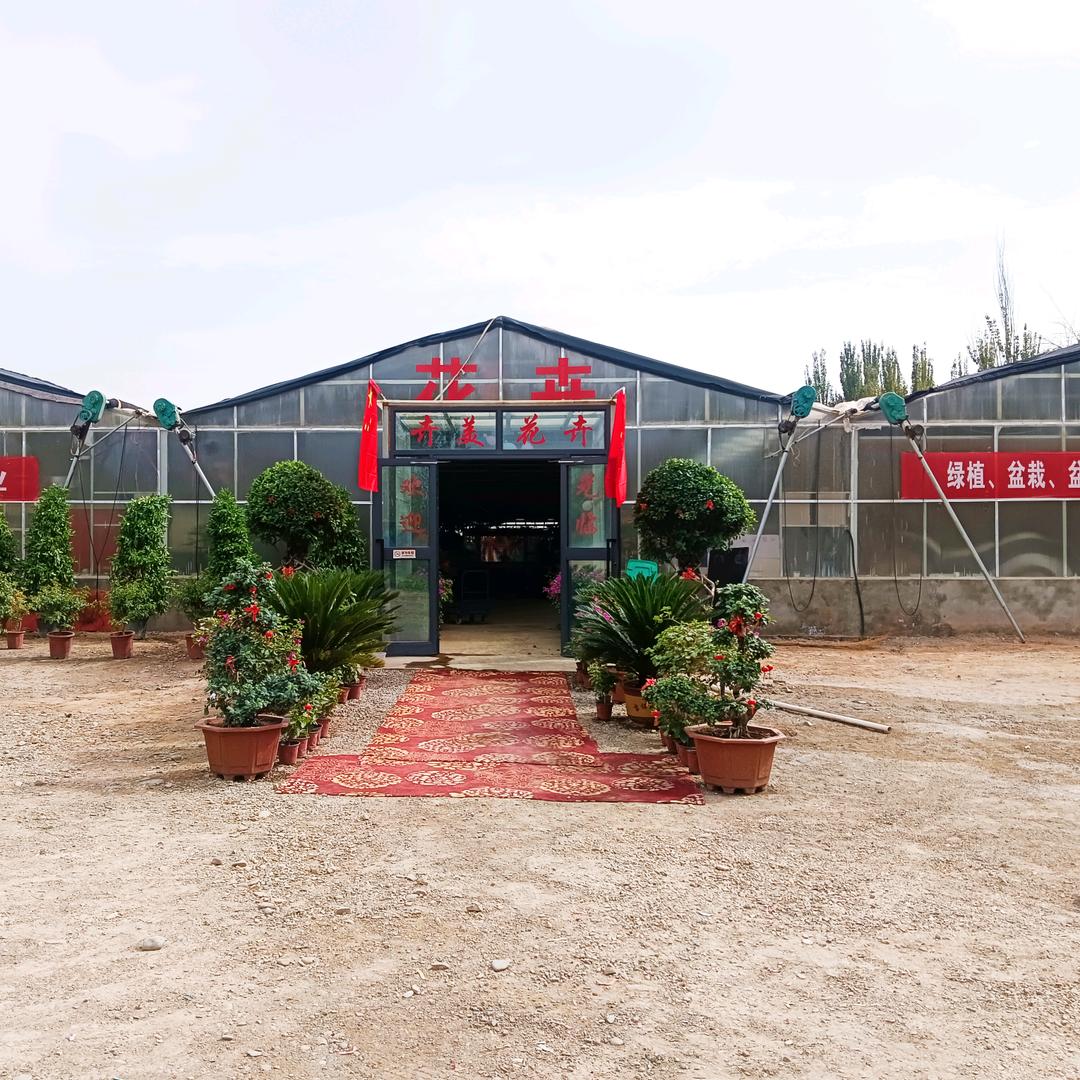 喀什市卉美花卉超市
