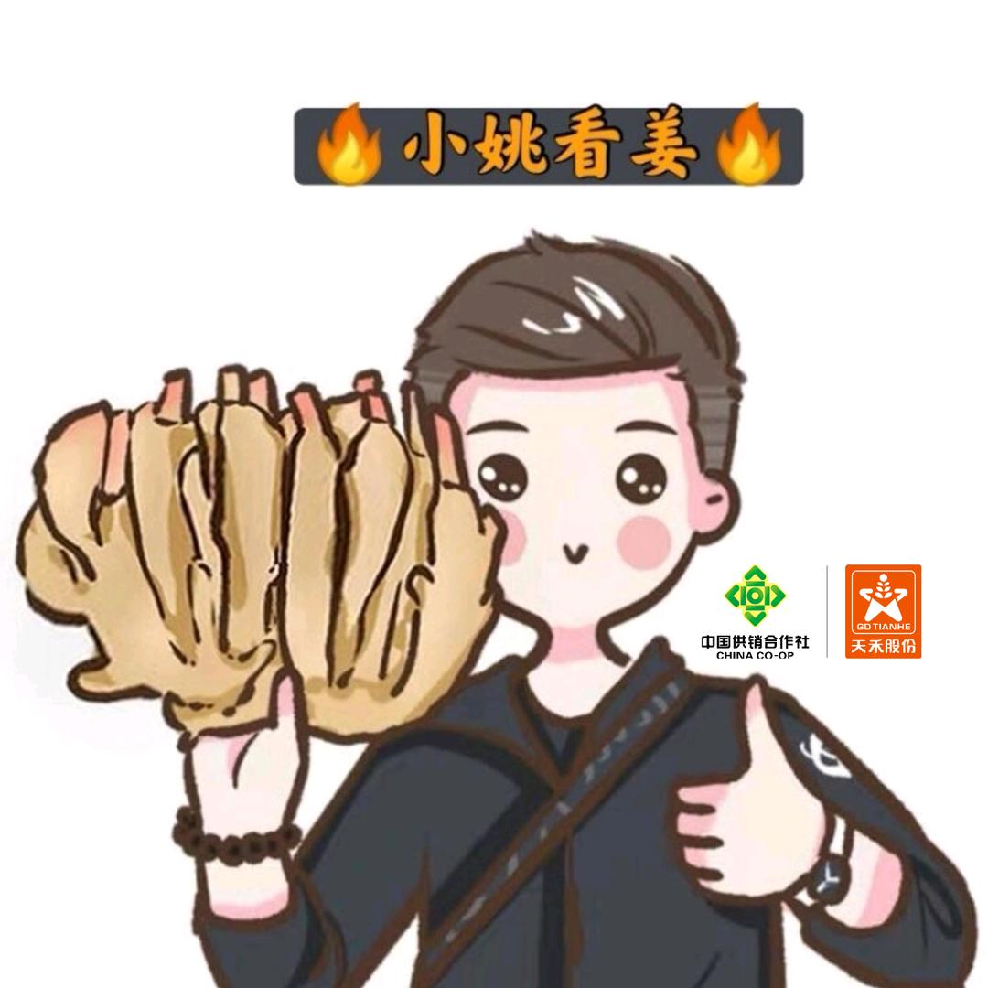 天禾-小姚看姜