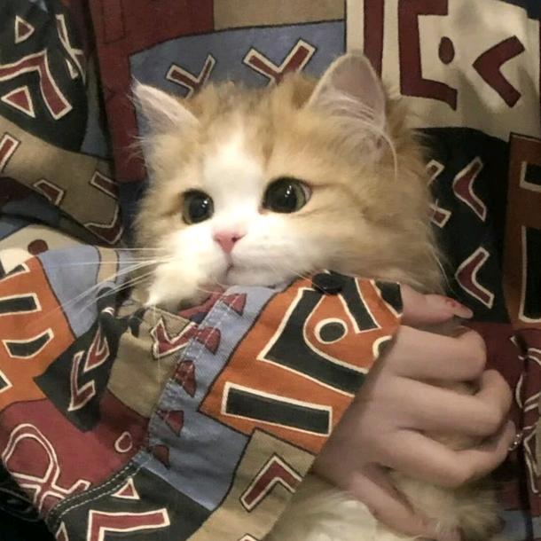 71
