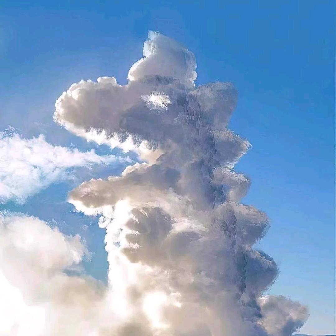 给你一庹子🍃